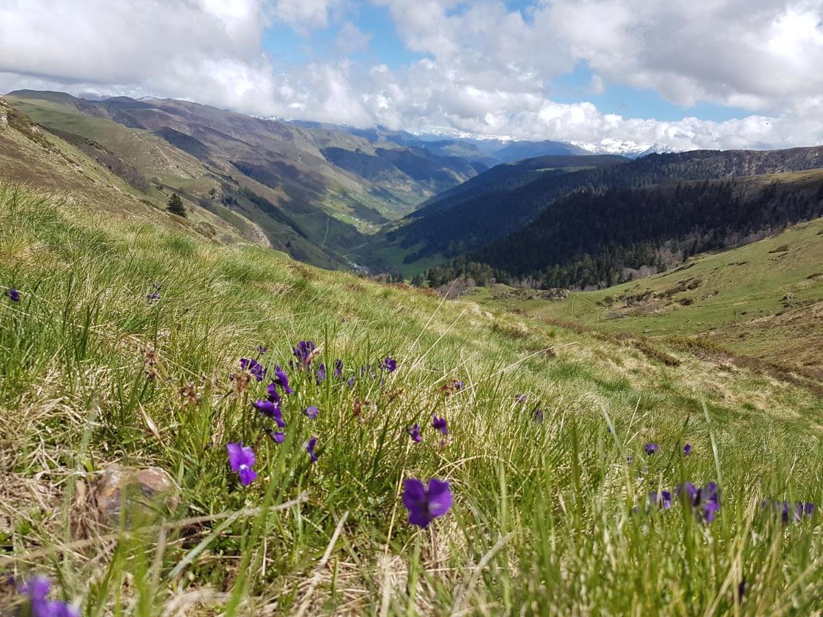 La Pepite Lägenhet Bagnères-de-Luchon Exteriör bild