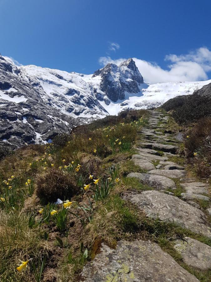 La Pepite Lägenhet Bagnères-de-Luchon Exteriör bild